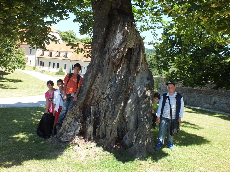 DSCF0442